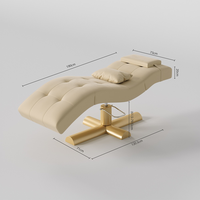 Lit de traitement de beauté de nouvelle conception et table de massage des cils avec une durabilité fiable Lit De Beauté
