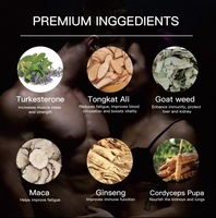 Capsules et bonbons énergétiques pour hommes, prix d'usine premium, complément alimentaire pour hommes