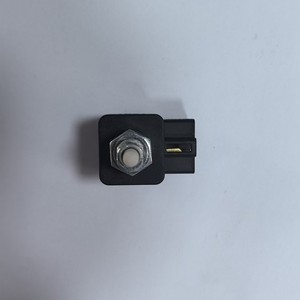 Interruptor de Luz de Freno RY3.604.017 para Changan Ruixing, Repuesto Automotriz - Product Image 2