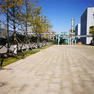 Fuente de la fábrica de alta pureza <span class=keywords><strong>zein</strong></span>/proteína de maíz/<span class=keywords><strong>zein</strong></span> proteína No cas 9010-66-6 - Product Image 5