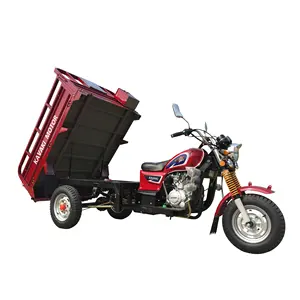 Kavaki 공장 핫 모델 150cc 공냉식 엔진 가솔린 모터 tricycles eec trike 3 휠 세발 카고 필리핀