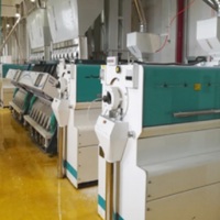 Machine à polir le riz série D PinYang D4 D5 D6 – Polisseuse automatique à eau pour riz – Usine de décorticage de riz