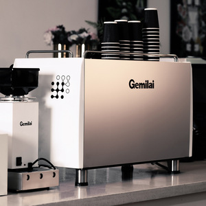 Gemile 3120C Commercial Dual-Head Semi-Automatic Espresso Machine Stainless Steel 9-Bar Pressure Coffee Shop Use - Product Image 2