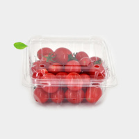 Groothandel rechthoekige transparante plastic PET-container met scharnierend deksel voor fruitverpakkingen