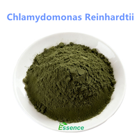 Poudre de protéines végétales de haute qualité, poudre de Chlamydomonas Reinhardtii ≥30%, poudre de Chlamydomonas Reinhardtii