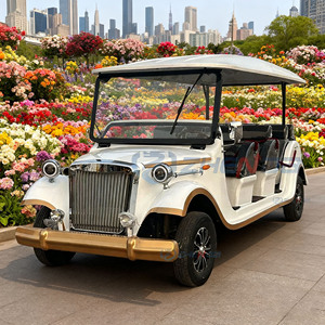 Véhicule de tourisme électrique rétro classique à carrosserie en fer avec garniture or blanc, très demandé - Product Image 6