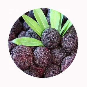 Bán buôn iqf waxberry đông lạnh Màu Đỏ bayberry mâm xôi loại trong bao bì số lượng lớn - Product Image 3