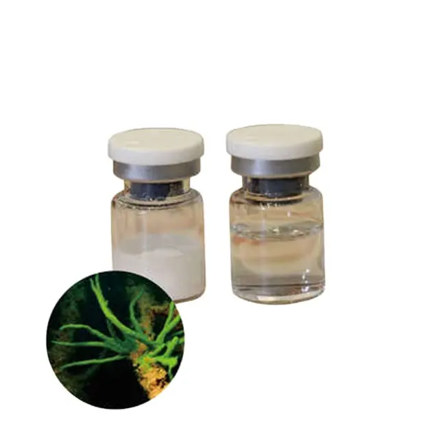 High quality hot selling ODM chinese herbal extract products Spongilla Extract