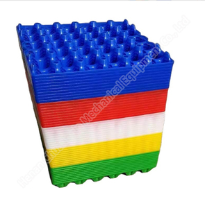 Caja de huevos para transporte de paquetes Bandeja DE TRANSPORTE DE 30 huevos Bandeja de transporte de plástico para pollo - Product Image 4