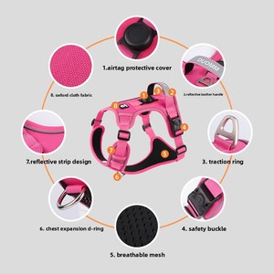 Arnés de Poliéster para Perro Compatible con Airtag, Correa de Pecho para Entrenamiento al Aire Libre y Correa Antipérdida - Product Image 4