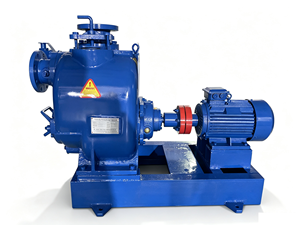 Pompa per Acque Reflue Orizzontale Autoadescante Anti-intasamento |   Pompa per Rifiuti ad Alta Potenza 22kW 30HP |   Flusso 80-180 M3/h, Prevalenza 32m - Product Image 1
