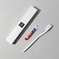 Kit de toilette miniature de haute qualité pour hôtel, articles de toilette personnalisés pour hôtel, ensemble d'accessoires certifiés FDA, fournitures de luxe pour hôtel