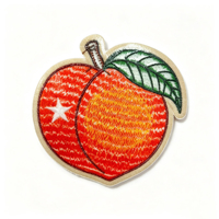 Schattig fruit geborduurd patch strijk- of naai-op applicatie badge voor jas hoed tas kleding DIY decoratie aangepaste borduur patches