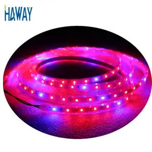 Hot Selling IP65 Greenhouse Seedling Plant Indoor Lamp Hydroponic 12V DC 24V 2R 1B LED Strip Grow Lights