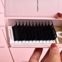 LashPlus Fournisseur Expédition Rapide C CC D L M Extension de Cils Noir Mat Autres Nouveaux Faux Cils
