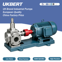 Pompe à engrenages circulaires UKBERT OEM/ODM YCB avec soupape de sécurité et protection contre les surcharges 0,6-1,6 MPa pour transfert d'huile hydraulique