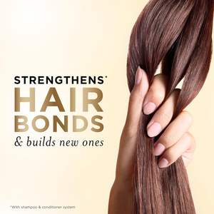 Juego de champú y acondicionador OEM R'ENDASE, renovación de la humedad-Pro-V Nutrients, hidratación y suavidad de 72 horas, Miracle Rescue Shot 820ml - Product Image 2