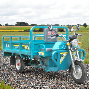 WF1500DZH 2 미터 전기화물 자전거 3 륜 오픈 자전거 전기 오토바이 전기 세발 자전거 - Product Image 4