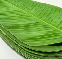 Feuilles de bananier artificielles en plastique vert pour la décoration de plats de fruits, restaurants, barbecues et tapis de table