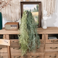 Plantes artificielles suspendues en gros, mousse espagnole, fausse verdure grimpante pour la décoration de la maison, des mariages, des plafonds et des murs