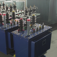 Transformateur de distribution triphasé immergé dans l'huile 315 kVA S13-M 10 kV 400 V, transformateur abaisseur de puissance IEC60076, direct usine