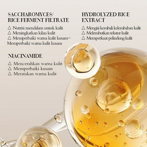 Suero Facial de Arroz Hidratante y Humectante de Absorción Rápida, Refrescante y No Pegajoso, 30 ml, Certificado por Bpom, Venta al por Mayor KORMESIC - Product Image 3