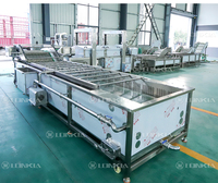 500Kg Fruitgroente Reiniging Productielijn Wassen En Drogen Van Fruit Aardappel Tomaat Wasmachine