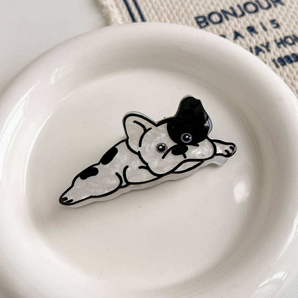 Flat lying french bulldog