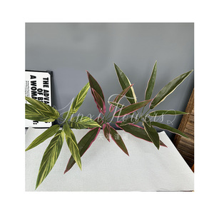 Plante artificielle Cordyline Fruticosa Jinxi 80cm, bord rose, caoutchouc souple, décoration intérieure pour mariage et maison - Product Image 5