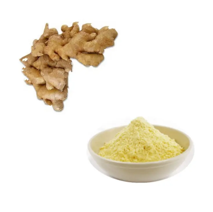 Pure Organic Ginger Plant Root Extract 1%~20% Gingerol Powder