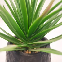 Vente en gros de petites plantes succulentes artificielles en pot en céramique, déco murale suspendue pour la fête des mères à la maison, au bureau ou dans la salle de bain