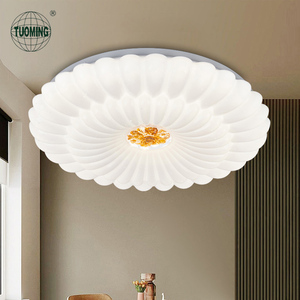 Trẻ em trẻ em phòng ngủ điều khiển từ xa Dimmable Acrylic hiện đại hoa hình dạng dẫn ánh sáng Trần - Product Image 3