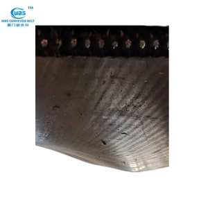 EP300/2 acciaio cavo nastro trasportatore forl personalizzato miglior prezzo e veloce nave alta qualità più lungo tempo di servizio - Product Image 3