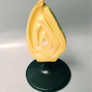 Modelo de Germen de Semilla de Planta, Ayuda Didáctica 3D para la Enseñanza de Botánica y Biología - Product Image 4