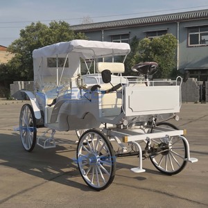 Charrette Électrique de Luxe Purement Blanche pour Visites Touristiques, Carrosse Royal Princesse, Carrosse de Mariage, Chariot à Chevaux - Product Image 3