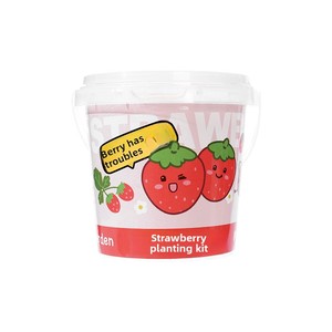Kit de culture miniature pour enfants : Tournesol, Fraise, Légumes – Idéal pour l'observation de la croissance des plantes et l'éveil à la verdure - Product Image 5