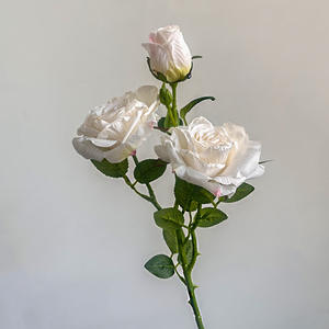 Fleur de soie française branche unique 3 tête bord brûlé Rose moderne maison salon décoration artificielle bouquet de fleurs séchées - Product Image 6