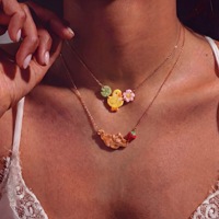 Collar de Cadena de Eslabones de Acero Inoxidable Chapado en Oro de 18K con Diseño de Pollo, Fresa y Flor, Antideslustre, Venta al por Mayor