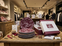 Service de vaisselle en porcelaine de luxe français, motif oiseaux et fleurs, pour banquets de mariage et vente au détail