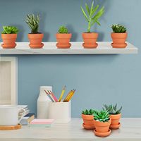 Pots de fleurs en terre cuite 5CM Pot en argile non émaillée Mini pots de plantes avec soucoupe pour plante de cactus succulente d'intérieur et d'extérieur