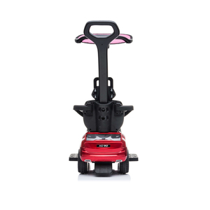 Coches de empuje para niños, con mango y Capon - Product Image 4