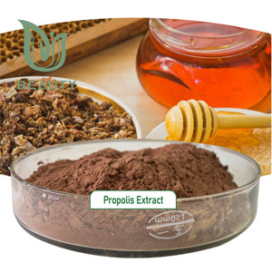 Premium 70% Flavonoïdes <span class=keywords><strong>Propolis</strong></span> Extrait Poudre Soluble Dans L'eau Halal/Casher Certifié pour Cosmétiques Suppléments Pharmaceutiques - Product Image 3