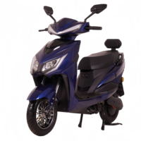 HAMA Scooter Électrique Haute Vitesse 1000W/1500W 72V, Motos Électriques Sportives Puissantes 80km/h, Moto Électrique 200km