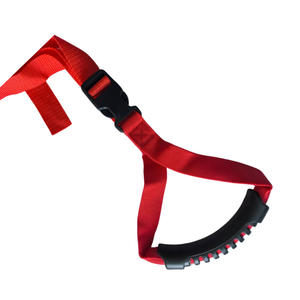 Asistencia de manija de puerta de coche de caña para mano de soporte de vehículo mayor - Product Image 1