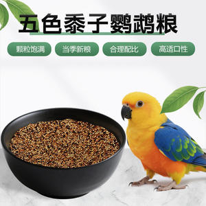 Millet cinq couleurs 750g pour perruches, calopsittes, canaris, oiseaux jade avec coquilles - Product Image 4