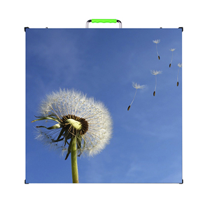 Écran LED d'affichage publicitaire HD pour scène intérieure/extérieure P2.976 P3.91 P4.81 en aluminium moulé sous pression, location, mur vidéo 500*500mm - Product Image 2