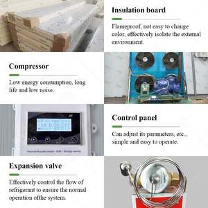 Sistema de Contenedores Refrigerados en China, Equipo de Cámara Frigorífica, Enfriador de Tomates, Congelador Modular para Pescado Fresco y Alimentos - Product Image 4