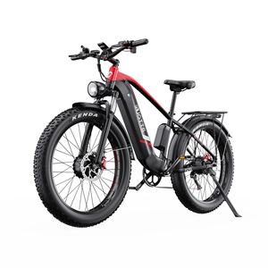 Bicicleta Eléctrica Todoterreno Duotts F26 de 250W con Motor Dual de 65Nm*2, Gran Potencia, Batería de Litio Oculta de 20Ah, para Montaña Extrema - Product Image 4