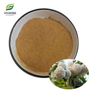 Extracto de Viburnum Opulus Natural de Suministro de Fábrica, Extracto de Corteza de Crampbark al 99% en Polvo - Product Image 1
