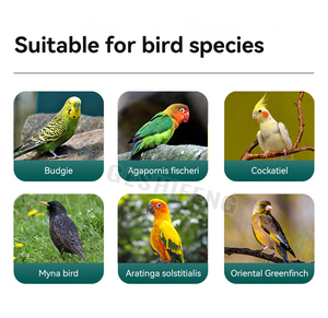 GSF Grandes cages à oiseaux Maisons Canaries Cages à oiseaux en métal Jaulas Para Pajaros pour perroquets Cage oiseaux - Product Image 2
